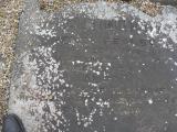image of grave number 57876